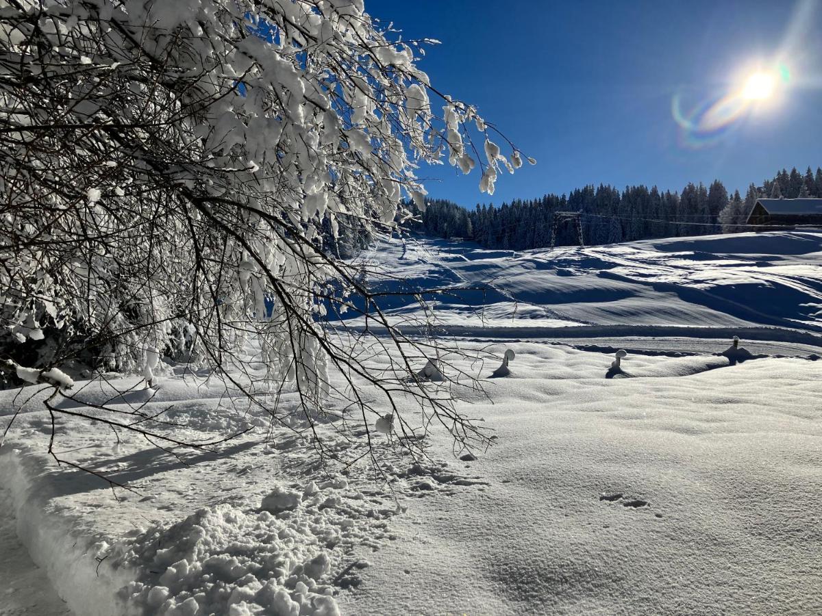 Ferienwohnung Bergblick Am Rande Der Wildnis Sibratsgfäll Exteriér fotografie