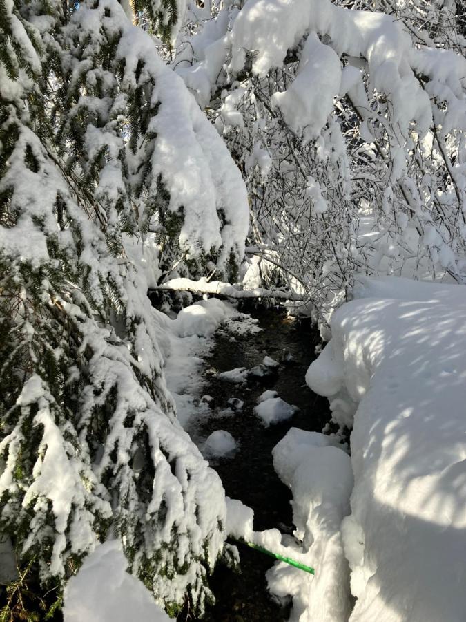 Ferienwohnung Bergblick Am Rande Der Wildnis Sibratsgfäll Exteriér fotografie